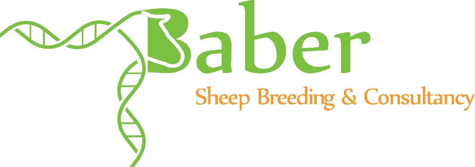 Peter Baber, Sheep Breeding & Consultancy
